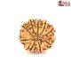 Natural Nepali 9 Mukhi Rudraksha 