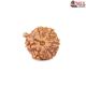 Natural Ganesha Rudraksha 