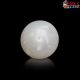  South Sea Pearl (Moti) 6.47 Carat