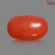 Italian Red Coral 5.02 cts