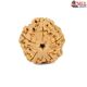 Natural 5 Mukhi Rudraksha 