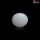 Opal Stone 1.89 Carats