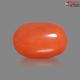 Italian Red Coral 5.27 cts
