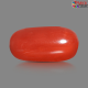 Italian Red Coral 6.03 cts