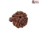 Natural Ganesha Rudraksha 
