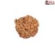 Natural Ganesha Rudraksha 