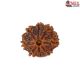 Natural 8 Mukhi Rudraksha