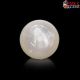  South Sea Pearl (Moti) 9.83 Carat