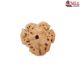 Natural Nepali 3 Mukhi Rudraksha