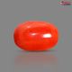 Italian Red Coral (Moonga) 5.13 Carats
