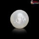  South Sea Pearl (Moti) 5.91 Carat