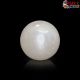  South Sea Pearl (Moti) 5.34 Carat
