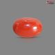 Italian Red Coral (Moonga) 4.82 Carats