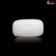 White Coral 16.54 Carat