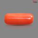 Italian Red Coral (Moonga) 5.37 Carats