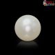  South Sea Pearl (Moti) 5.89 Carat