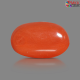 Italian Red Coral 5.34 cts
