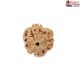 Natural Nepali 3 Mukhi Rudraksha