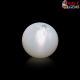  South Sea Pearl (Moti) 13.13 Carat