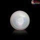  South Sea Pearl (Moti) 10.24 Carat