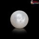  South Sea Pearl (Moti) 11.06 Carat