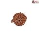 Natural Ganesha Rudraksha 