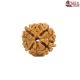 Natural Nepali 4 Mukhi Rudraksha