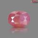African Ruby Stone 3.85   carat