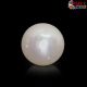  South Sea Pearl (Moti) 5.54 Carat