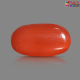 Italian Red Coral 6.28 cts