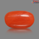 Italian Red Coral 6.95 cts