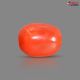 Italian Red Coral (Moonga) 5.10 Carats