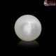  South Sea Pearl (Moti) 6.21 Carat