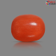 Italian Red Coral 5.97 cts