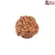 Natural Ganesha Rudraksha 