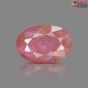 African Ruby Stone 5.95 carat