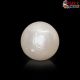  South Sea Pearl (Moti) 6.04 Carat