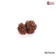 10 Mukhi Gauri Shankar Rudraksha