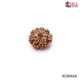 Natural Nepali 10 Mukhi Rudraksha 