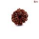 Natural Nepali 12 Mukhi Rudraksha