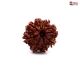 Eight Mukhi Rudraksha