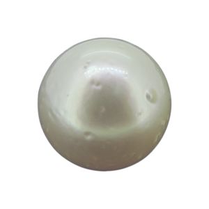 South Sea Pearl (Moti)