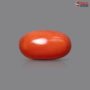 Italian Red Coral 2.76 cts