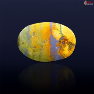 bumble bee jasper stone