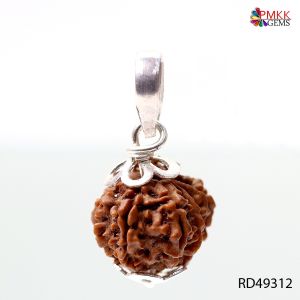 Natural Nepali 11 Mukhi Rudraksha