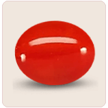 Red Coral