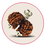 Gauri Shankar Rudraksha