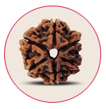 Six Mukhi Rudraksha